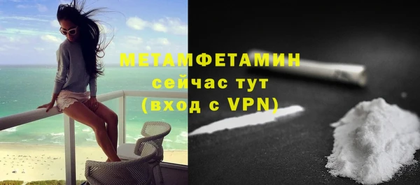 ГАЛЛЮЦИНОГЕННЫЕ ГРИБЫ Лагань