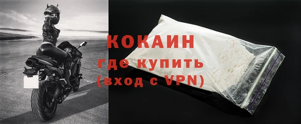 ГАЛЛЮЦИНОГЕННЫЕ ГРИБЫ Лагань