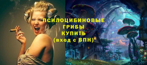 ГАЛЛЮЦИНОГЕННЫЕ ГРИБЫ Лагань