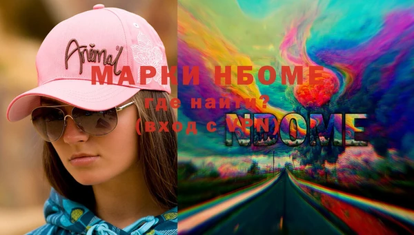 ГАЛЛЮЦИНОГЕННЫЕ ГРИБЫ Лагань