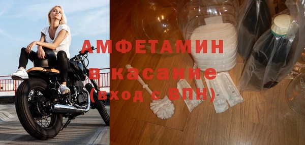 ГАЛЛЮЦИНОГЕННЫЕ ГРИБЫ Лагань