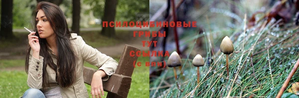 mix Кукмор