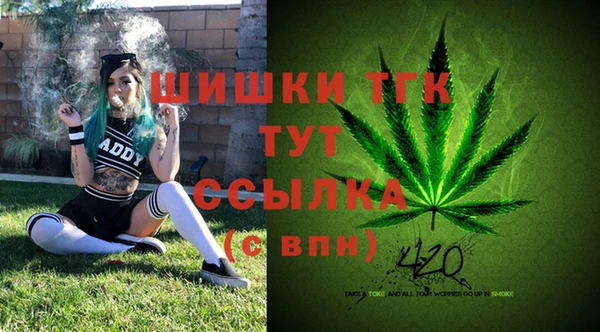 ALPHA PVP Куйбышев