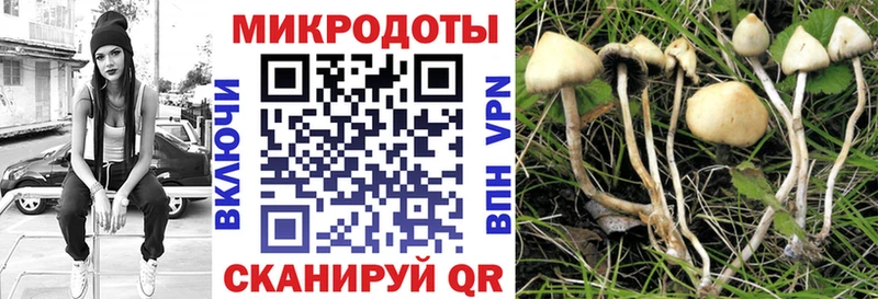 Галлюциногенные грибы Cubensis Купить закладки Заринск